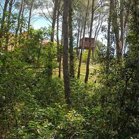 Studio Bandol * Bandol