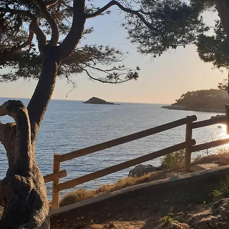 Studio Bandol Bandol