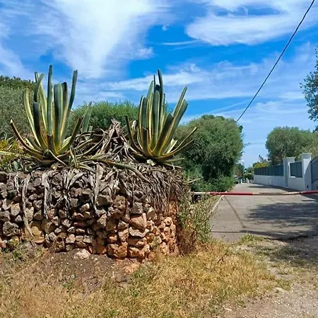 Studio Bandol * Bandol