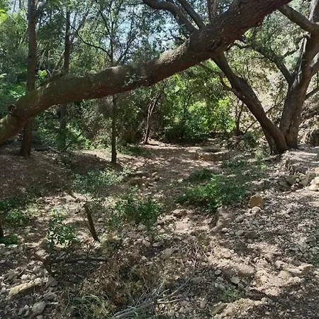 Studio Bandol * باندول