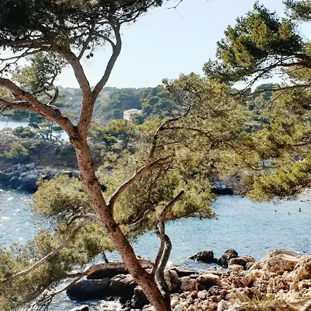 Studio Bandol *