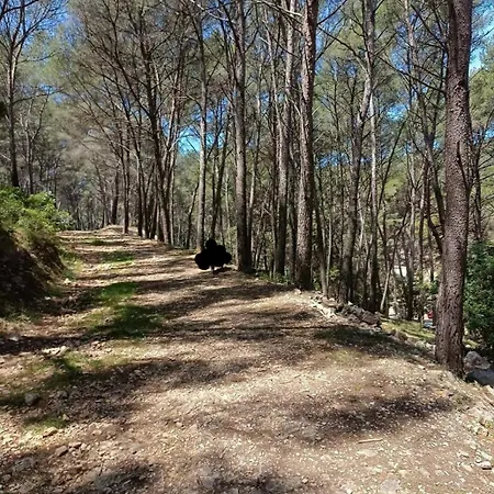 Studio Bandol * باندول