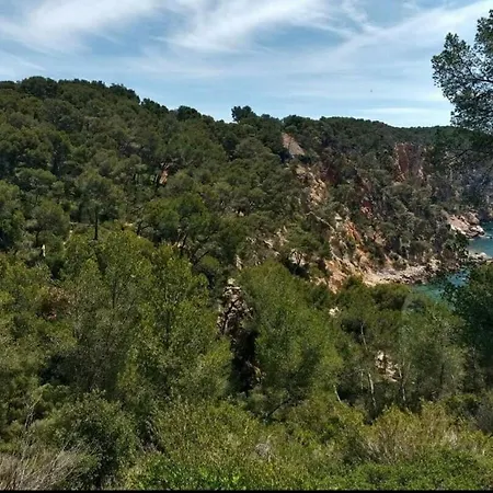 Studio Bandol