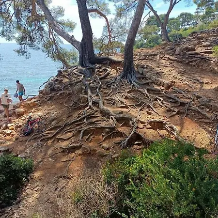 Studio Bandol باندول