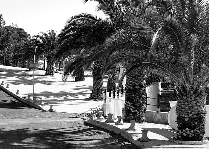 Studio Bandol