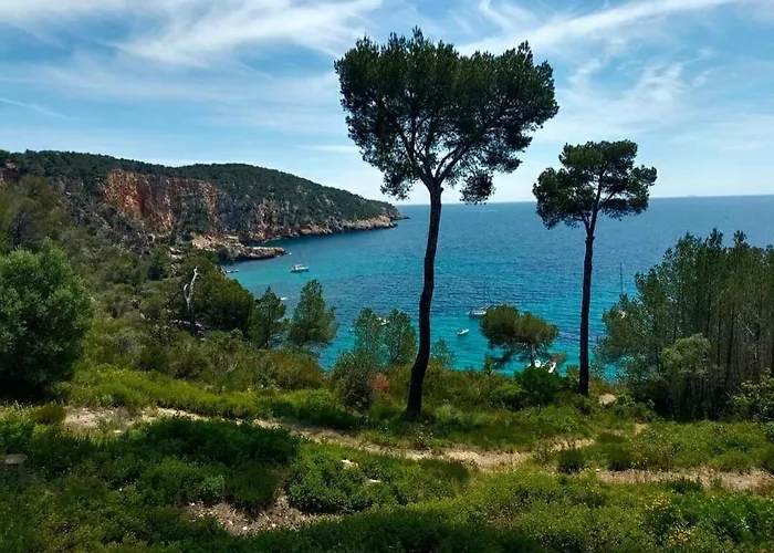 Daire Studio Bandol *