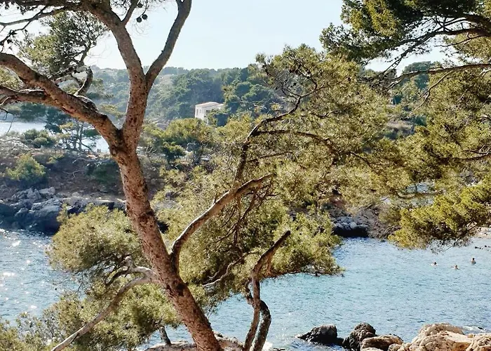 Studio Bandol *
