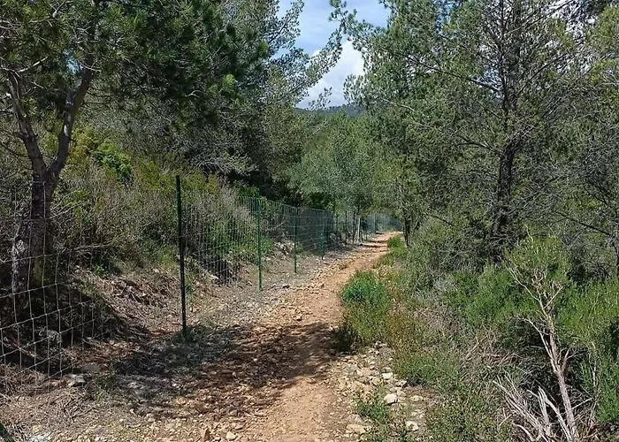 Studio Bandol Daire Bandol