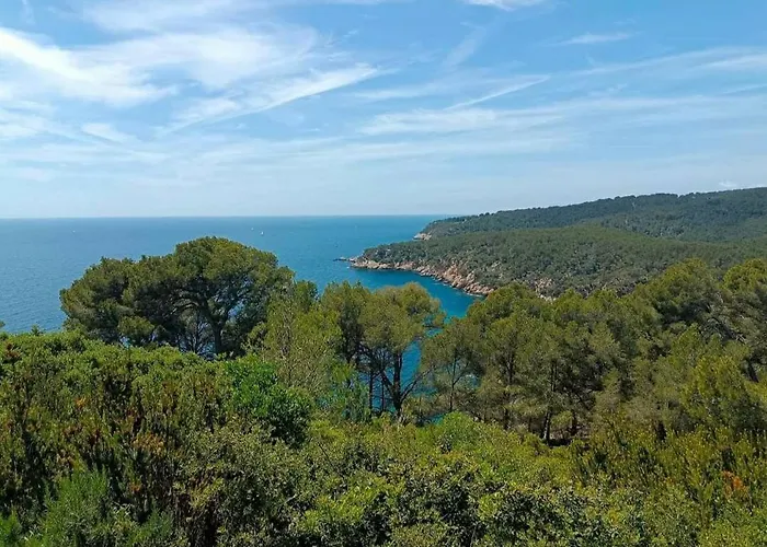 Studio Bandol