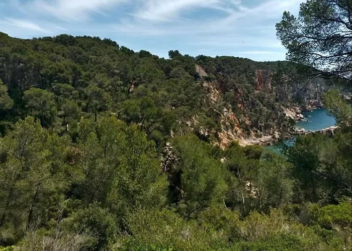 Studio Bandol